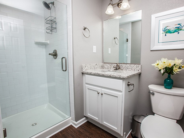 Master Bathroom 2740960